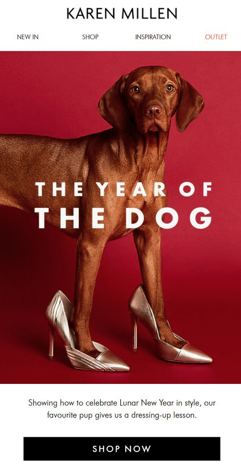 the_new_year_product_pitch_newsletter