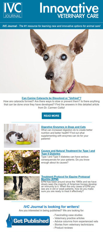 veterinary_medicine_newsletter veterinary_medicine_newsletter