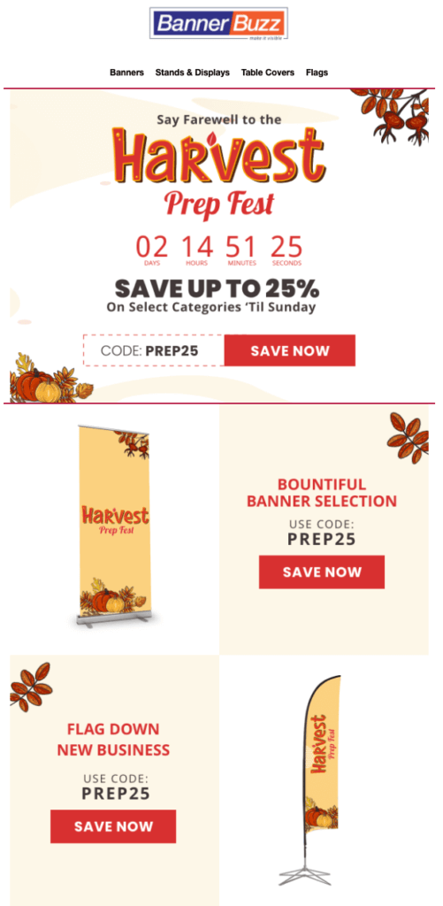 banner_buzz_flash_sale_email_with_timer