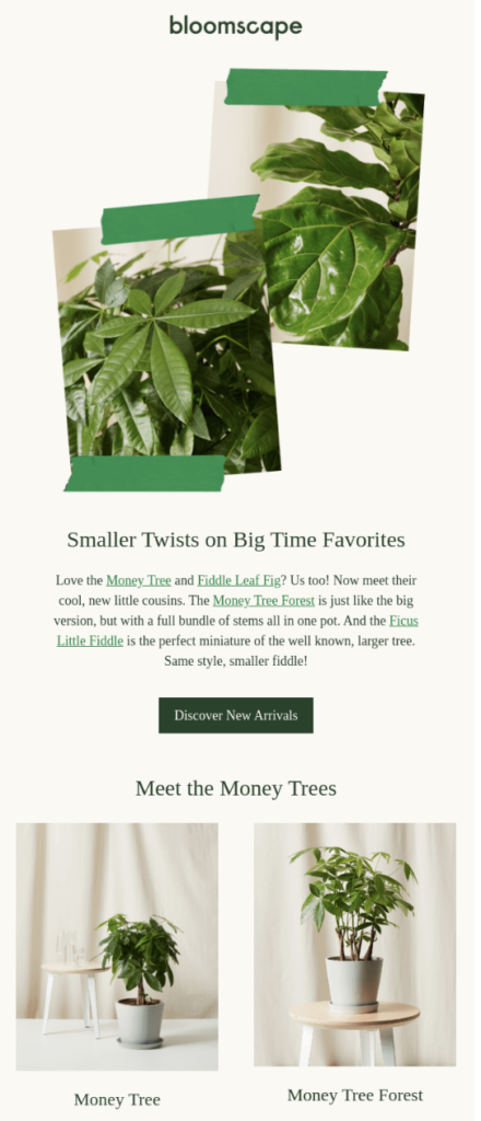 newsletter_example_by_bloomscape