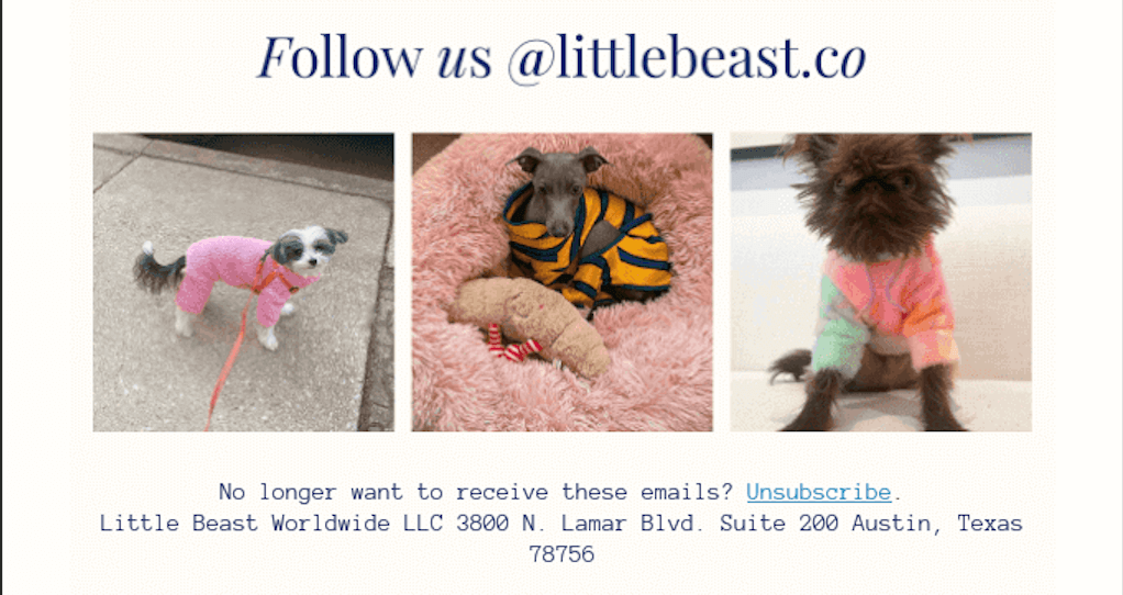 LittleBeast_email_footer_example