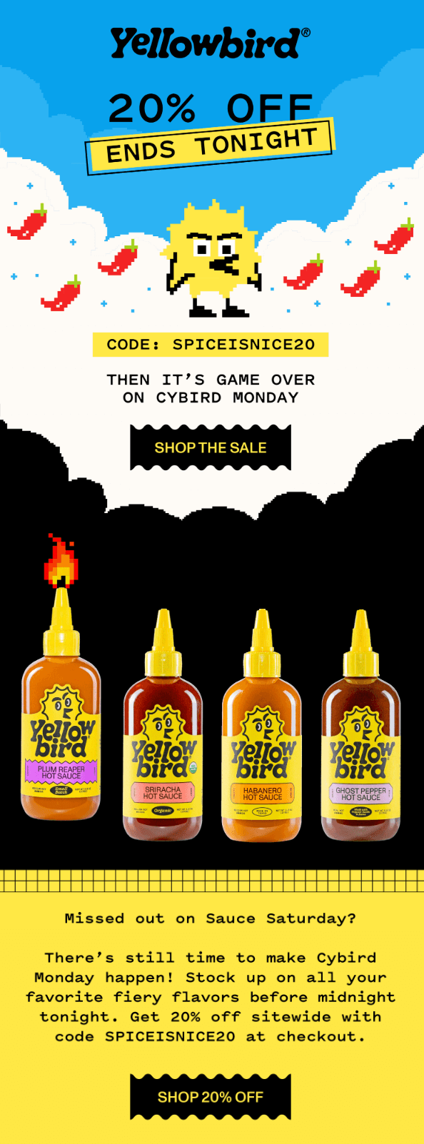 yellowbird-black-friday-newsletter-promo